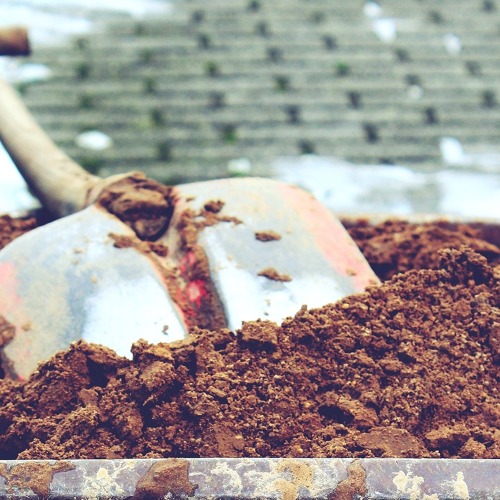 Anlieferung von Pferdemist