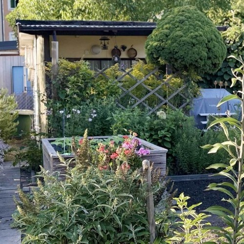 Garten 4